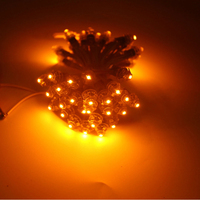 Luces LED de Punto Rojas/Verdes con Clasificación IP65 a Prueba de Agua, 12V 9mm, Súper Brillantes, Iluminación Decorativa para Paisajes