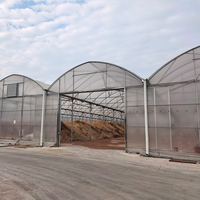 Film de serre agricole grand format résistant aux UV, couverture de tunnel durable, installation facile pour la croissance des plantes en usine