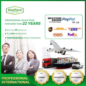 <span class=keywords><strong>Kiwi</strong></span> Fresco <span class=keywords><strong>Hayward</strong></span> 80g+ al por Mayor, <span class=keywords><strong>Kiwi</strong></span> Verde para Supermercados, Mercados de Frutas y Exportación - Product Image 6