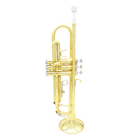 Hot Sale Bb-key Wind Instruments Professional Trumpet Brass Material Gold Color Trumpet with Case