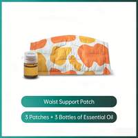 Lot de 3 Patchs Amincissants aux Huiles Essentielles – Confortables, Usage Externe, Marque Privée OEM, Fournisseur de Confiance, Matériau Respirant, Certifié ISO