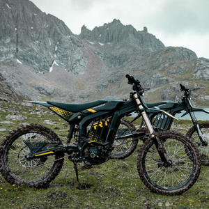Motocicleta Eléctrica Rerode R1+ de 72V 17000W con Motor Central, Batería de 40Ah de Largo Alcance, 500Nm de Potencia - Product Image 5