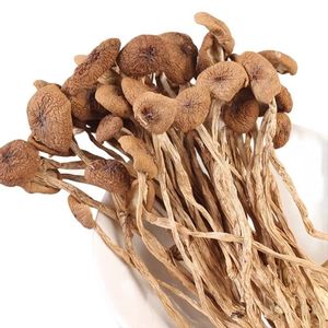 Agrocybe <span class=keywords><strong>Aegerita</strong></span> Champignon Entier Brut Cultivé Séché 1kg - Product Image 2