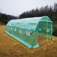 Grand tunnel polyvalent commercial 6x3x2m pour culture de légumes, certifié CE, en PE vert, avec système d'irrigation goutte-à-goutte en acier 19-25mm en option et fenêtre de ventilation enroulable