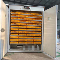 Vente Directe Fabricant - Incubateur d'Œufs Entièrement Automatique Intelligent Multiusage 1000 1056 Places - Neuf