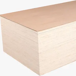 China Wholesaler Supply birch vs laminated plywood 18mm beech with low price