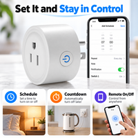 Stop Kontak Pintar WiFi Standar AS, 10A 2400W dengan Kontrol Suara dan Timer, Kontrol Jarak Jauh via Aplikasi, Bersertifikasi FCC dan RoHS, Berfungsi dengan Alexa dan Google Home