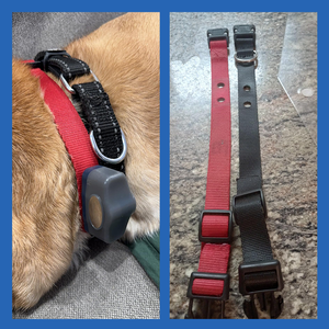 Collares de Nailon Coloridos de Tendencia al por Mayor Duraderos y Reflectantes para Perros con Juego de Correas Accesorios para Mascotas - Product Image 6