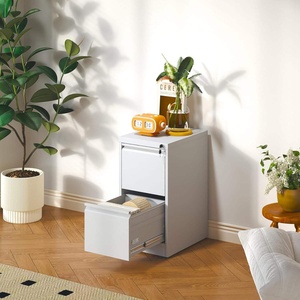 Modern Style Home Office Adjustable Metal 2-<b>Drawer</b> Steel Filing Cabinet Key Lock Customized RAL Color Pre-assembled Desk <b>Storage</b> - Product Image 2