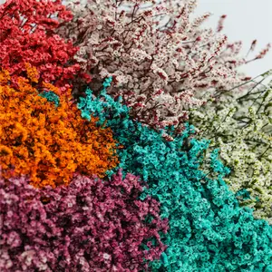 <span class=keywords><strong>Flores</strong></span> preservadas <span class=keywords><strong>con</strong></span> tallos, venta al por mayor, <span class=keywords><strong>flores</strong></span> secas, hierba de cristal eterna, Limonium, <span class=keywords><strong>flores</strong></span> secas para decoración de eventos de boda - Product Image 4