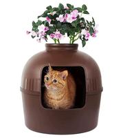 19+ Litter Box Potted Plant