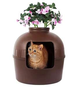 plant cat box