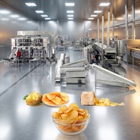 Productielijn voor aardappelchips met stoomverwarmingsblancheringsmachine voor enzymdeactivatie en kleurbehoud van chips