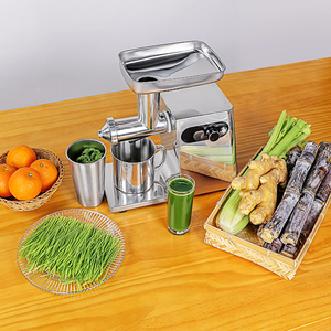 Commercial multifonctionnel électrique herbe de blé canne à sucre fruits légumes herbe de blé presse-agrumes <span class=keywords><strong>pièces</strong></span> de rechange - Product Image 4