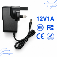 Adaptateur secteur professionnel conforme RoHS 100-240V AC/DC 1A 12V 12W pour fournitures pour animaux de compagnie