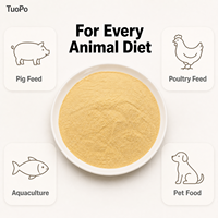 Poudre de levure inactif brun-jaunâtre riche en protéines brutes 35%-50% Source de protéines pour l'alimentation des porcs, volailles, animaux aquatiques et animaux de compagnie