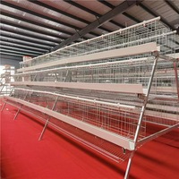Nouvelle conception de poulailler moderne, système d'élevage en cage à batterie pour poules pondeuses, économie d'énergie, fil d'acier, 2 ans