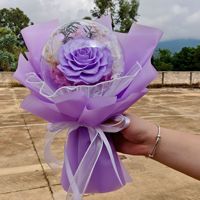 Yunnan Eeuwige Roos Pom-Pom Bobo Bal Bloemboeket Lichtvenster Display Cadeaubox Hortensia Gedroogde Bloem Festival/Valentijnsdag