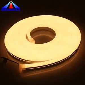 10x20mm LED Neon aydınlatma 12V esnek halat işık yumuşak beyaz neon floresan lamba