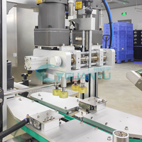 Ligne de production automatique Guanyu, machine de remplissage de liquides, machine de remplissage de boissons, de lait, de parfum, remplisseuse d'eau