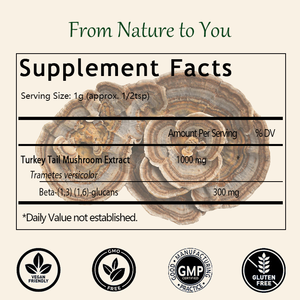 Poudre de champignon Queue de dinde OEM/ODM pour le bien-être, l'équilibre intestinal et le soutien énergétique, Extrait de Queue de dinde, Complément alimentaire à base de champignons - Product Image 2