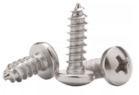 M2 M3 M4 M5 M6 M8 M10 A4 DIN7981 Acier inoxydable Ss 304 316 Vis autotaraudeuses personnalisées à tête cruciforme cruciforme pour bois