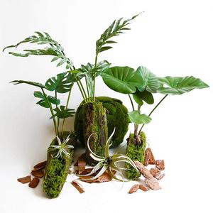 Plante Artificielle Miniature de Luxe, Plantes Vertes Simulées, Décoration Murale Végétale, Décor Moderne pour Table, Feuilles Vertes Artificielles - Product Image 6