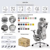 Chaise de bureau ergonomique en maille pour cadres, avec support dorsal réglable en hauteur et inclinable, idéale pour le bureau à domicile – Vente en gros