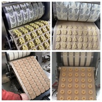 Nouvelle ligne de production de biscuits Lady Finger Peach Crisp Rusk, machine de traitement de la farine hautement automatisée, acier inoxydable 304, marque NP