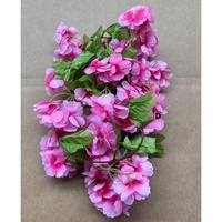 Tanaman Hydrangea Eden Floribunda Weevil Sunny Comte a Polka of Floral Banksiae Wild Bud Red New Pergolas Fake Rose Vines