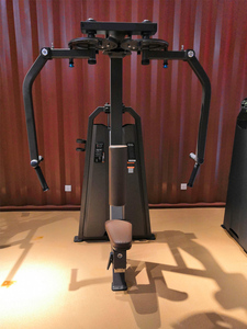 Pin de entrenamiento para ejercicio, nuevo diseño, venta al por mayor, equipo de gimnasio comercial, <span class=keywords><strong>Delt</strong></span> Pearl, precio de fábrica para fitness club - Product Image 3