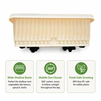 Jardinière rectangulaire en plastique blanc crème, bac à fleurs surélevé, panneau à grille moderne, léger et durable pour l'extérieur, la terrasse et le jardin