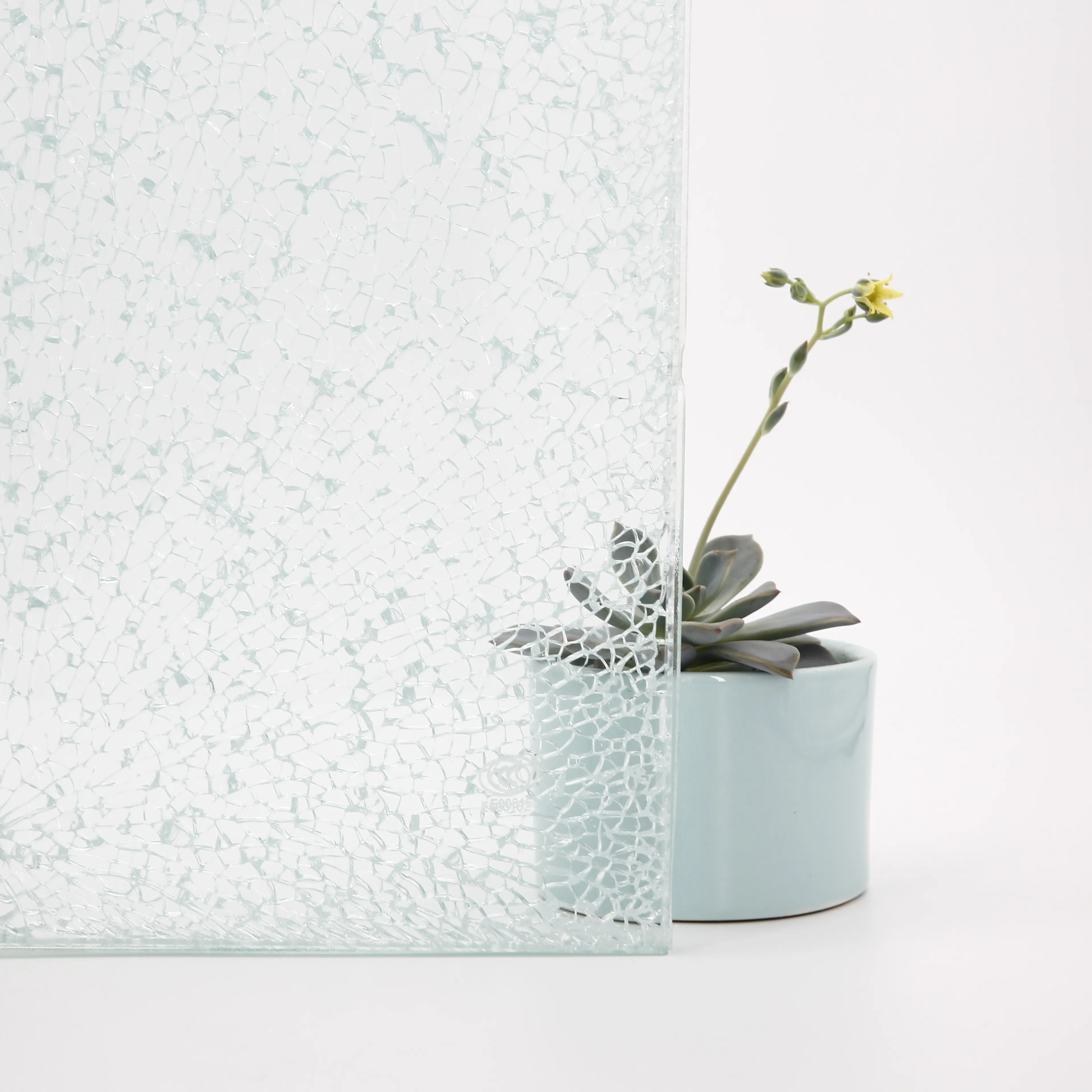 Glass Factory Wholesale 3mm 4mm 5mm Crolled/Wired Ceramic Frosted Pattern/Figured/Patterned Glass for Flora, Nashiji