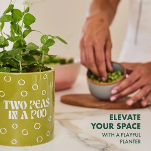 <span class=keywords><strong>Kit</strong></span> de plantation Garden Republic Two Peas in a Pod, <span class=keywords><strong>kit</strong></span> complet de jardinage d'intérieur pour la maison et le bureau - Product Image 2