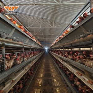 Nouvelles cages à poules automatiques de type A à 4 niveaux, bon marché et de qualité, avec garantie de 5 ans, en acier galvanisé à chaud <span class=keywords><strong>pour</strong></span> le Malawi - Product Image 2