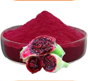 100% 純粋な天然水溶性の新鮮なサボテンフルーツパウダー - Product Image 6