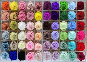 Testa di Rosa Eterna, Rose Conservate di Grado A 3-4 cm, Fiori di Alta Qualità al Tatto Naturale - Product Image 4