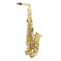 Beginner's Degraded E-Tone Alto Adult Saxophone Woodwind Instrument for Cross-Border Source