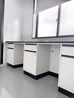 Table de laboratoire en métal moderne et durable avec évier, armoire à 4 tiroirs, revêtement en poudre époxy, acier inoxydable, poste de travail pour laboratoire de chimie