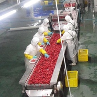 Fraises surgelées IQF en dés, petites, rouges, emballage en vrac de 10 kg, certifiées HACCP, origine CN pour l'exportation