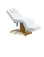 Table de massage pliable à hauteur réglable avec appui-tête et accoudoirs amovibles pour salon de beauté et spa facial
