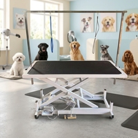 Table de toilettage pour chiens et chats, table de beauté électrique avec élévateur, table de toilettage pour chiens de taille moyenne et grande
