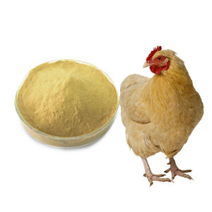 ผงยีสต์เบียร์สำหรับปศุสัตว์สารอาหารสำหรับสัตว์เลี้ยง - Product Image 2