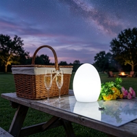 Oplaadbare LED-ei-vormige tafellamp voor binnen/buiten, 16 kleuren, afstandsbediening, Valentijnsdecoratieve nachtlamp voor restaurants