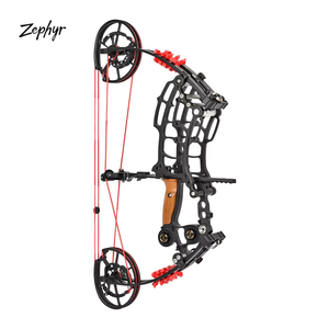 <span class=keywords><strong>Arc</strong></span> à Poulies en Alliage Réglable Double Usage 30-70 lbs et Ensemble <span class=keywords><strong>de</strong></span> Flèches Équipement <span class=keywords><strong>de</strong></span> <span class=keywords><strong>Chasse</strong></span> Sportif Extérieur <span class=keywords><strong>pour</strong></span> Tir à l'<span class=keywords><strong>Arc</strong></span> Bille d'Acier - Product Image 2