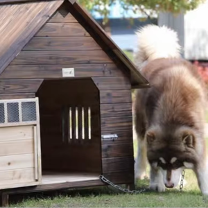 Casa para Mascotas Moderna de Madera Maciza Ecológica para Uso en Interiores/Exteriores, Protección contra la Lluvia y el Sol, Diseño de Sala de Estar para Perros y Gatos - Product Image 3