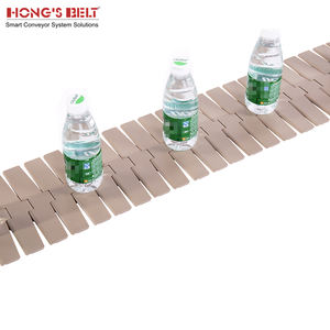 Hongsbelt HS-880-K450 fabrika fiyat plastik zincirler gıda ve içecek fabrikası için konveyör bant - Product Image 3