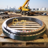 R305LC-7 Excavator Bearing: Construction Machinery Turntable Slewing Bearing Low Speed, High Load-bearing Capacity