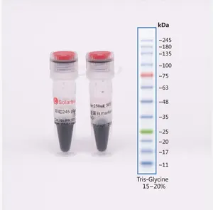 과학 연구를위한 Solarbio 하이 퀄리티 Color혼합 단백질 마커 (5-245KD)