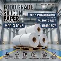 Papier sulfurisé en silicone de qualité alimentaire en gros pour usine, papier de cuisson antiadhésif, revêtement pour friteuse à air, rouleau géant pour boulangerie